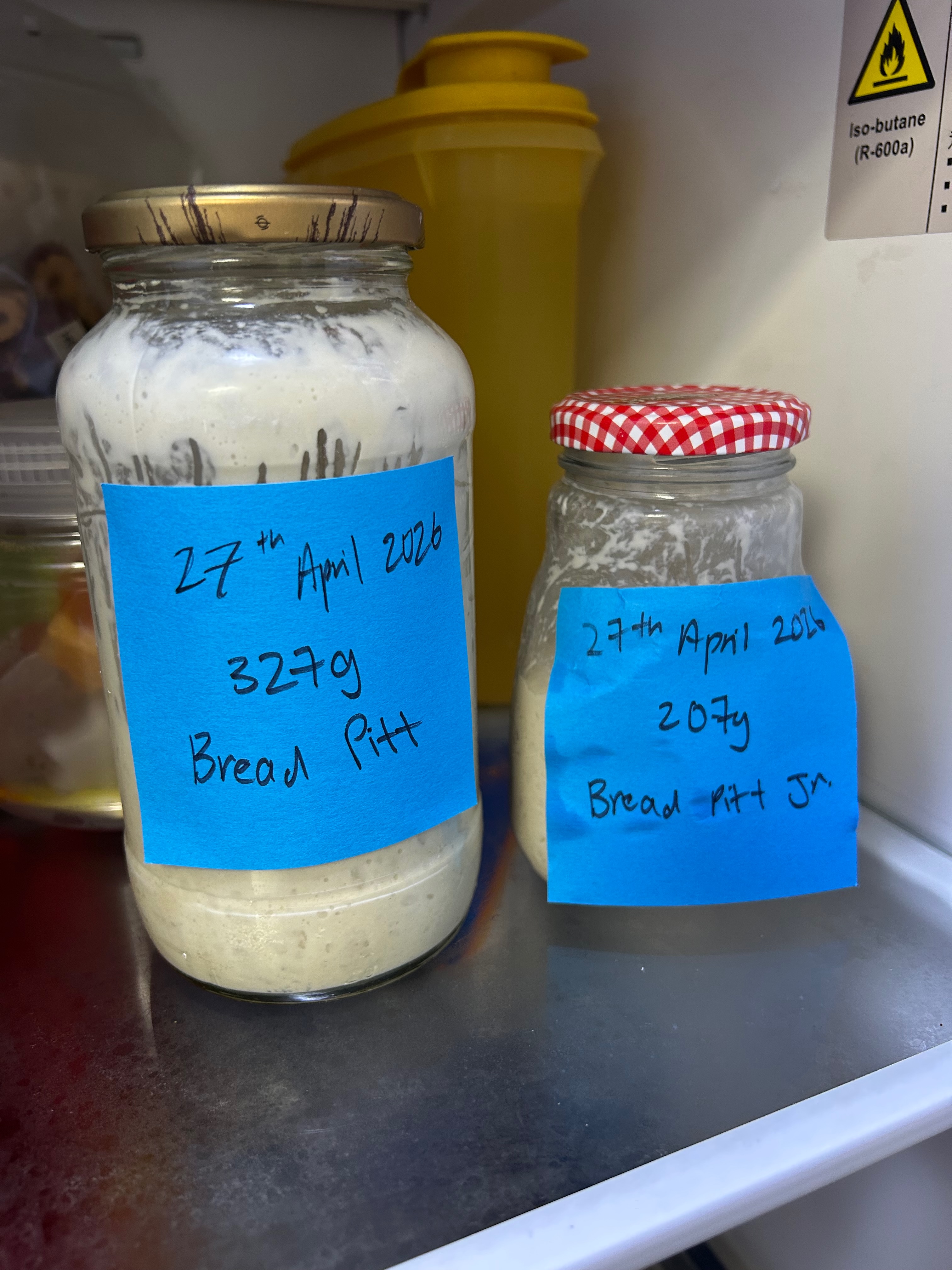 Sourdough Bread image 4
