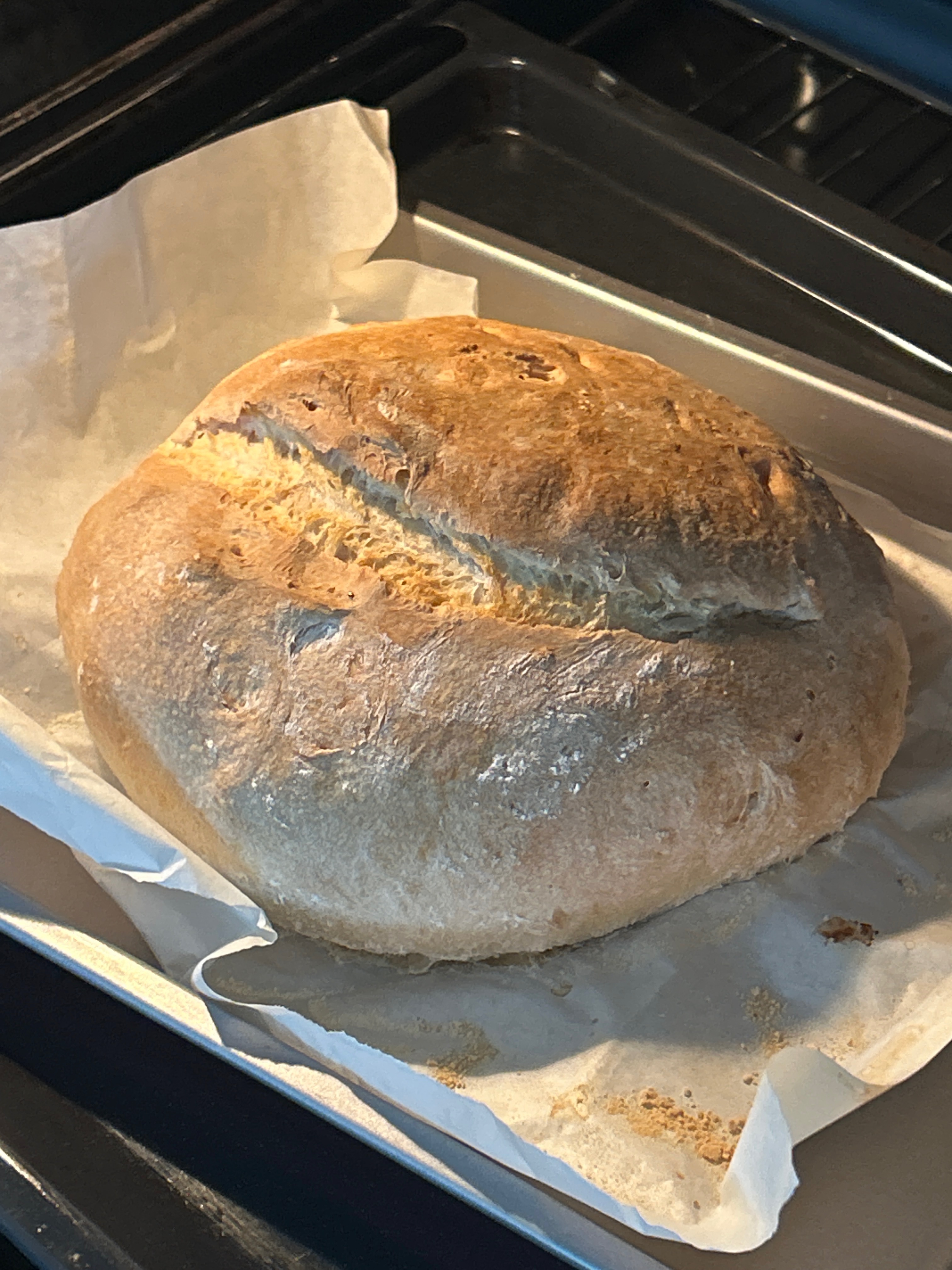 Sourdough Bread image 5